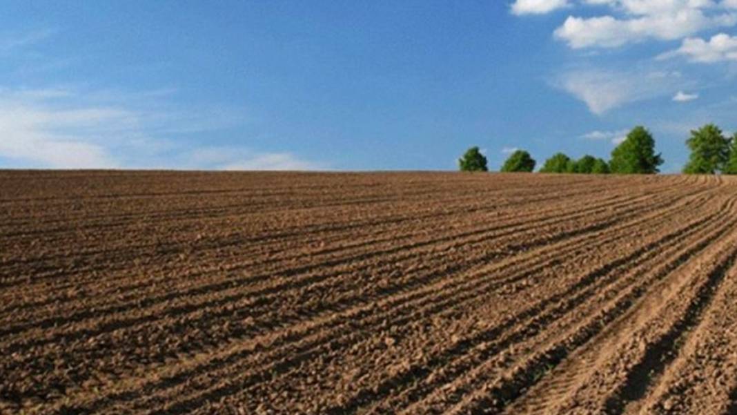 Arsa sahibi olmak isteyenlere güzel haber! Milli Emlak kaçırılmayacak tapu fırsatını duyurdu 7